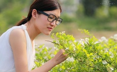 恋爱暴君OVA双男主樱花动漫